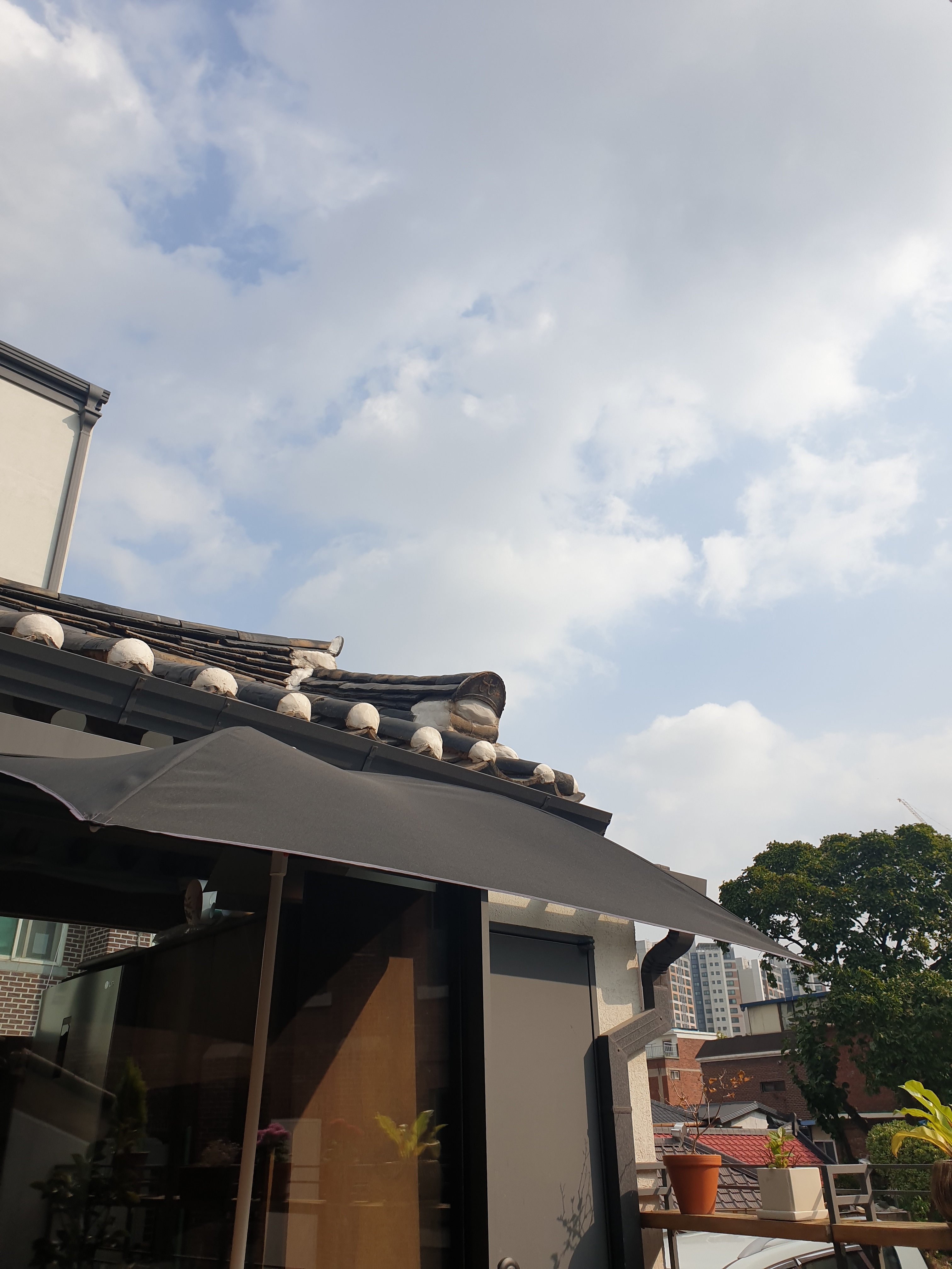 지구에 스치우는