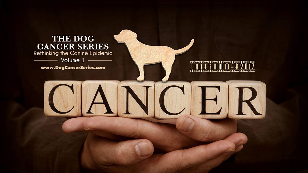 4-2 개 암의 위기 - canine cancer crisis