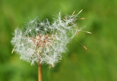 바람자리 이미지
