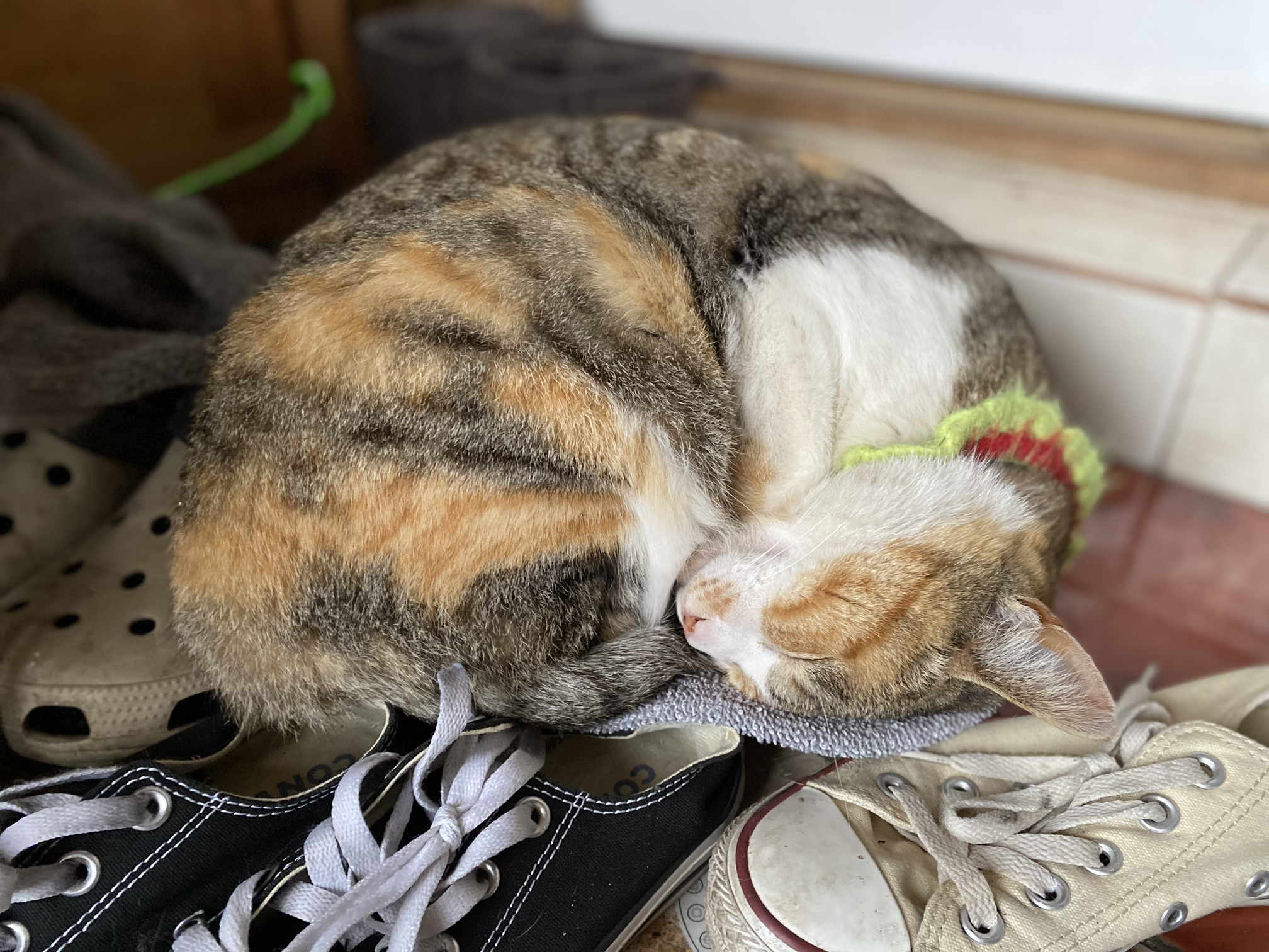 말괄량이 할머니가 될테야