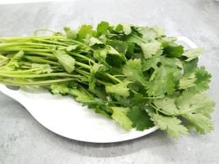 샹차이 이미지