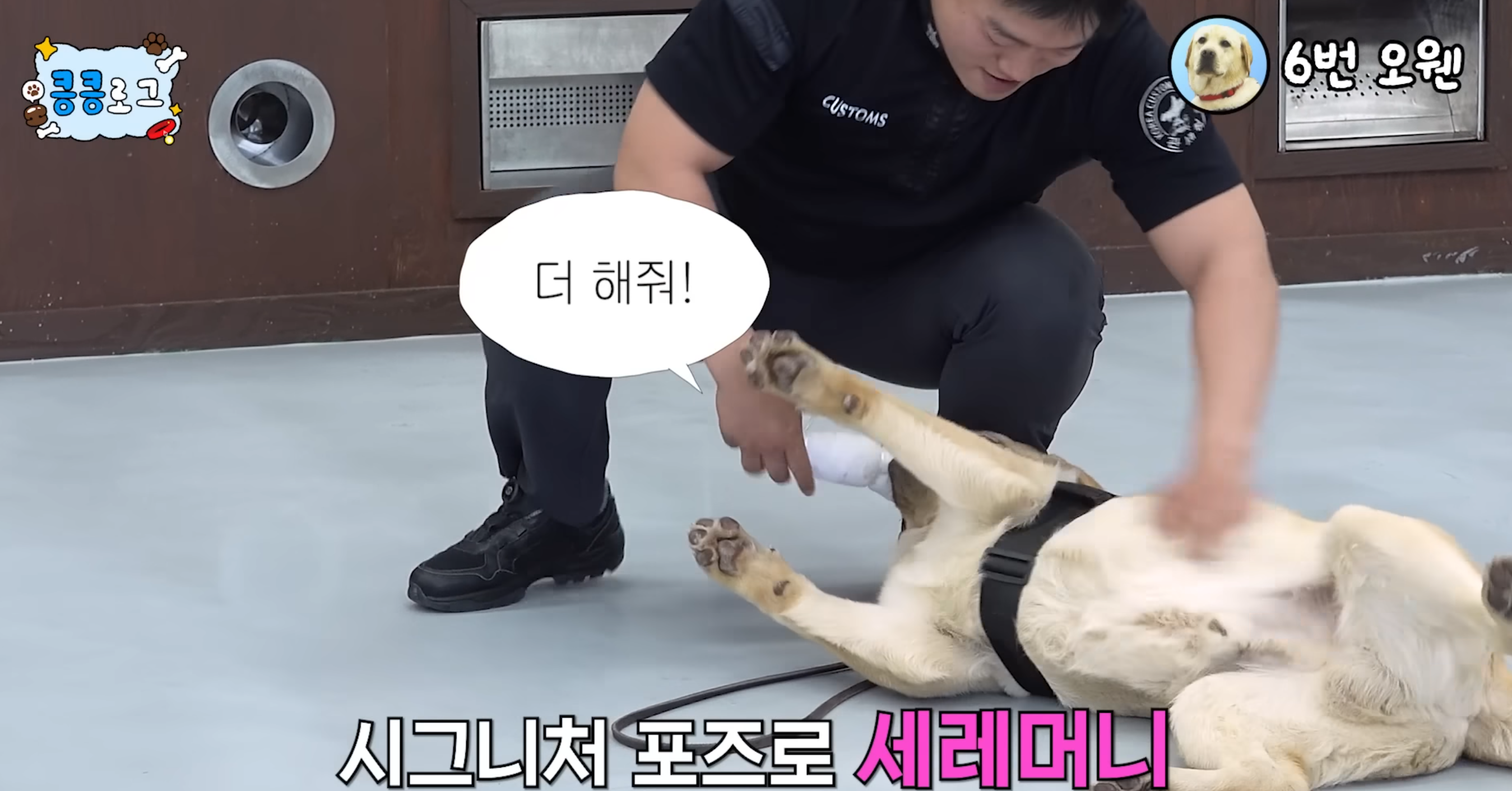 <출처: 관세청 유튜브>