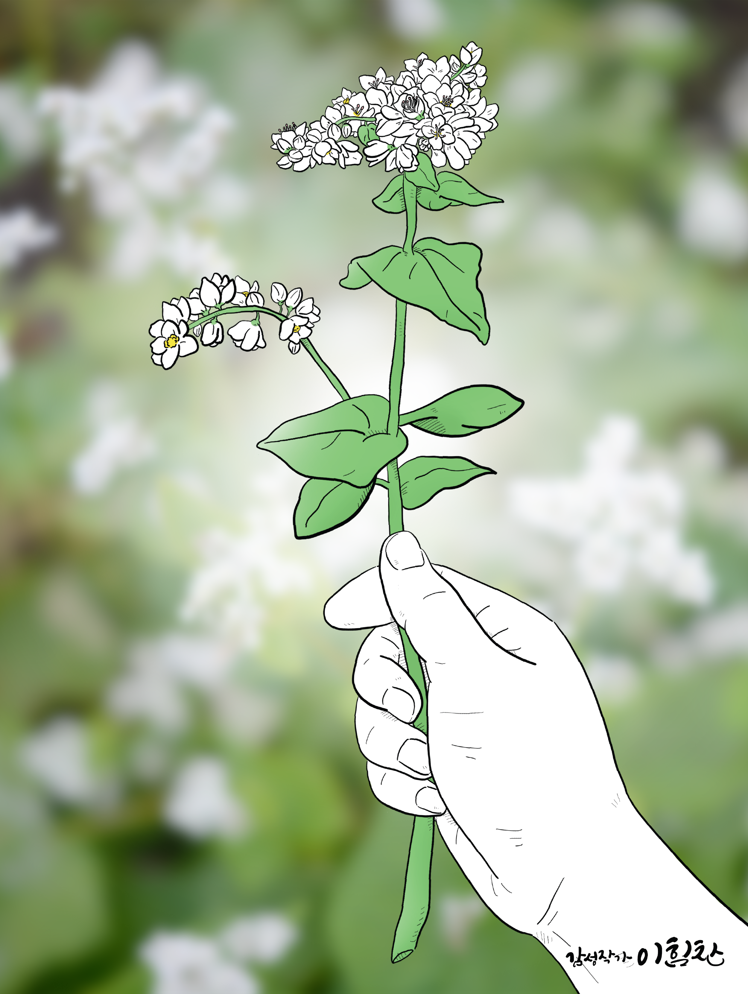 메밀이야기 이미지