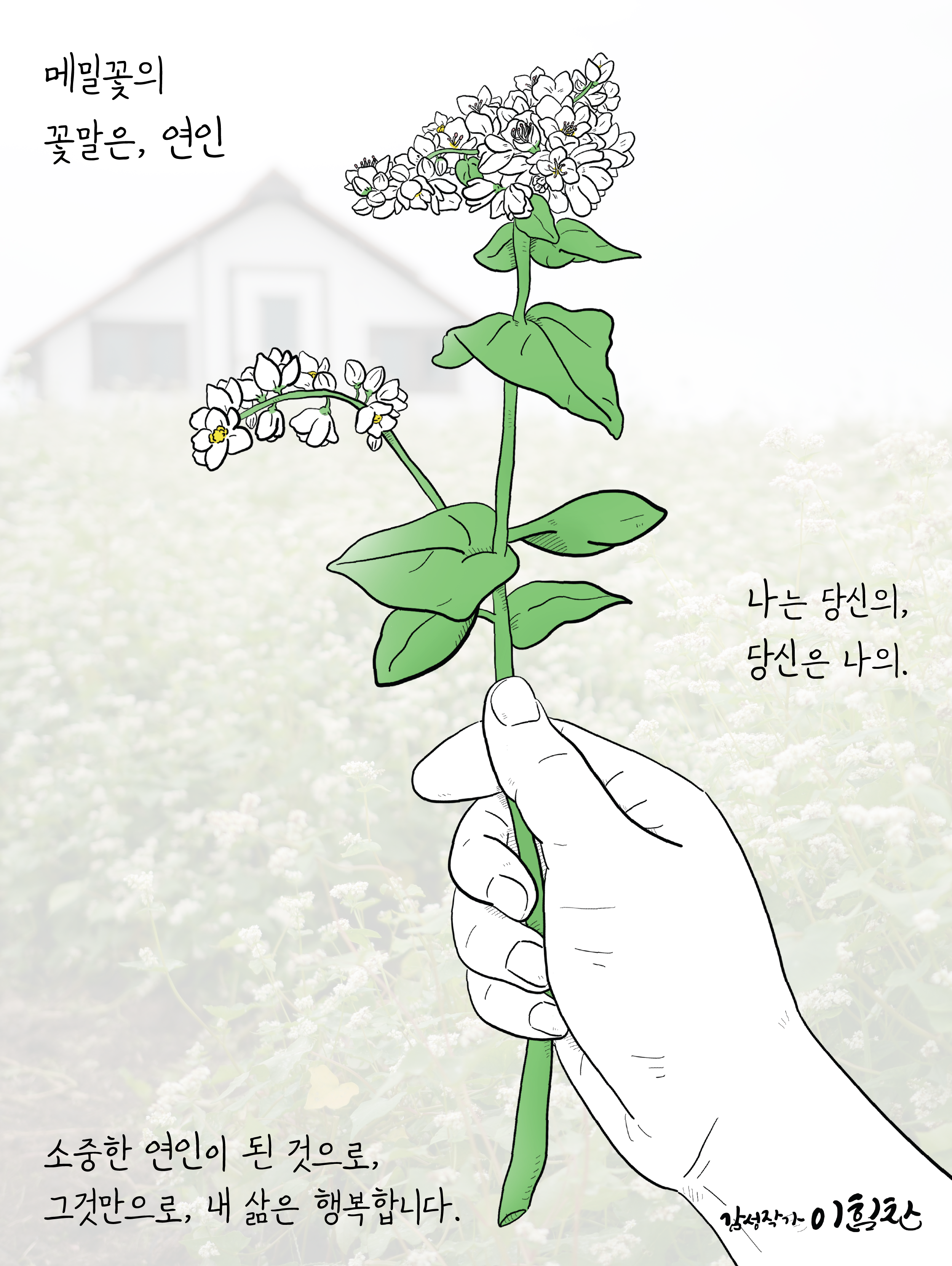 메밀이야기 이미지