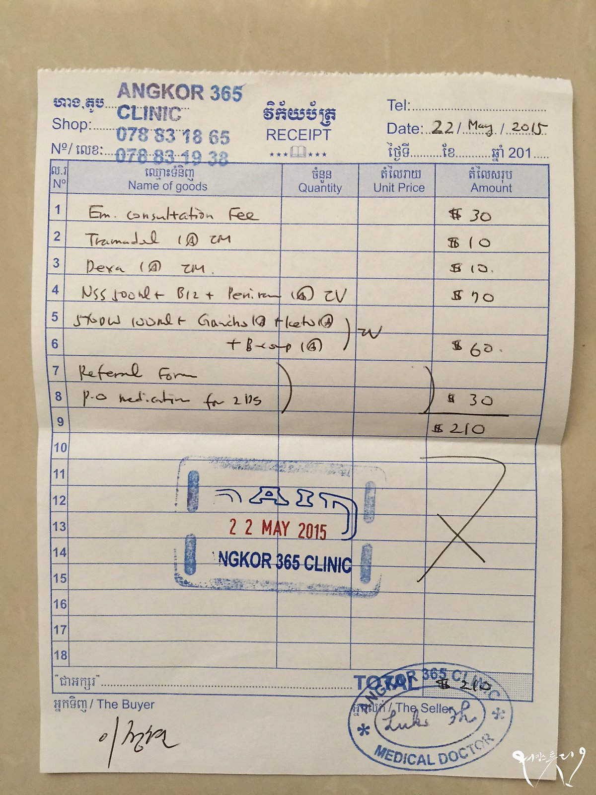 고양이 알레르기