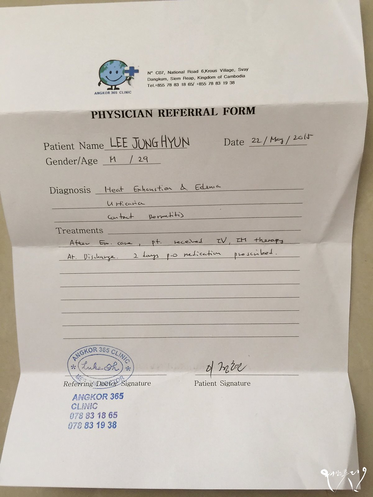 고양이 알레르기