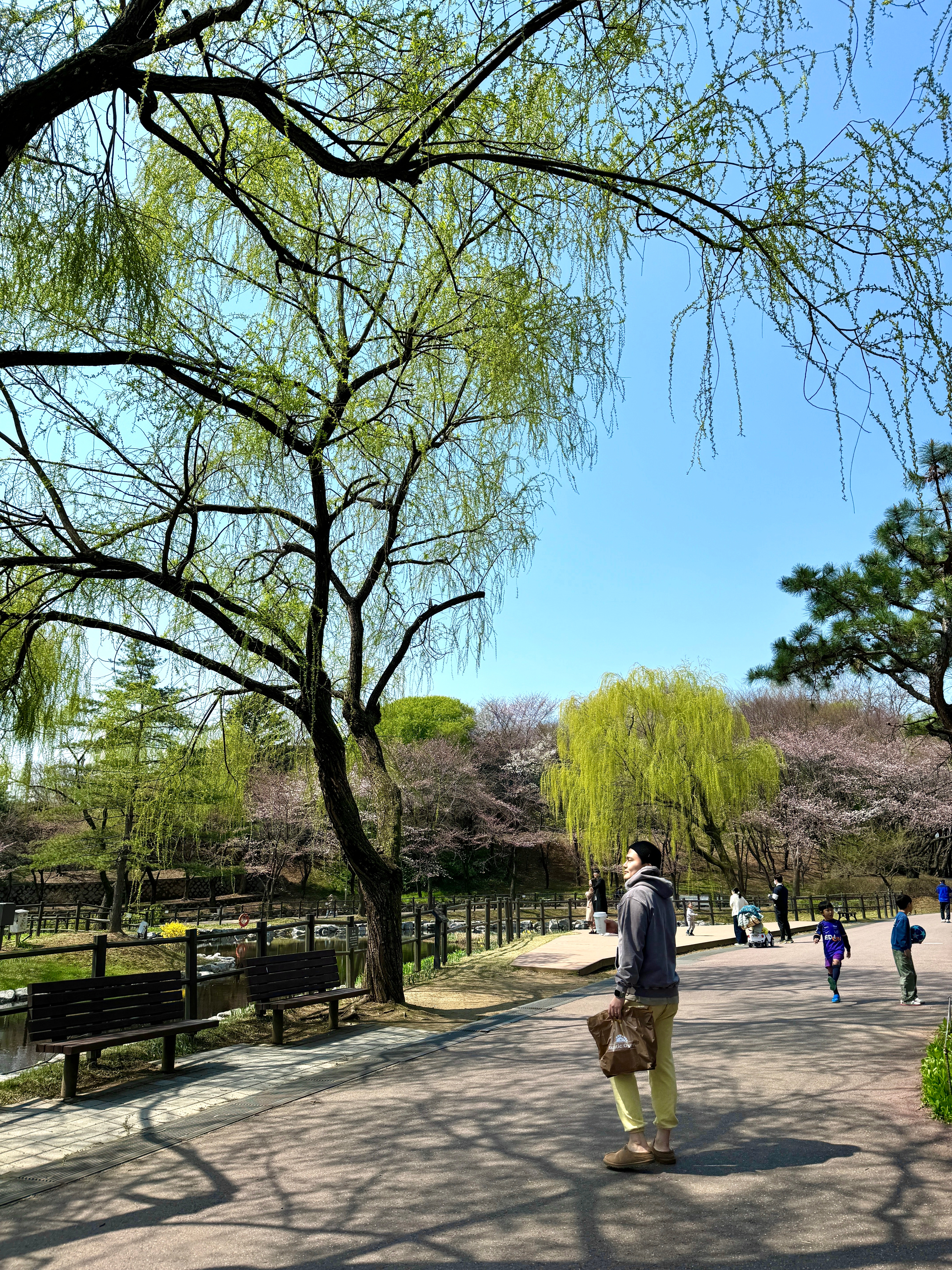 스완빌리어네어