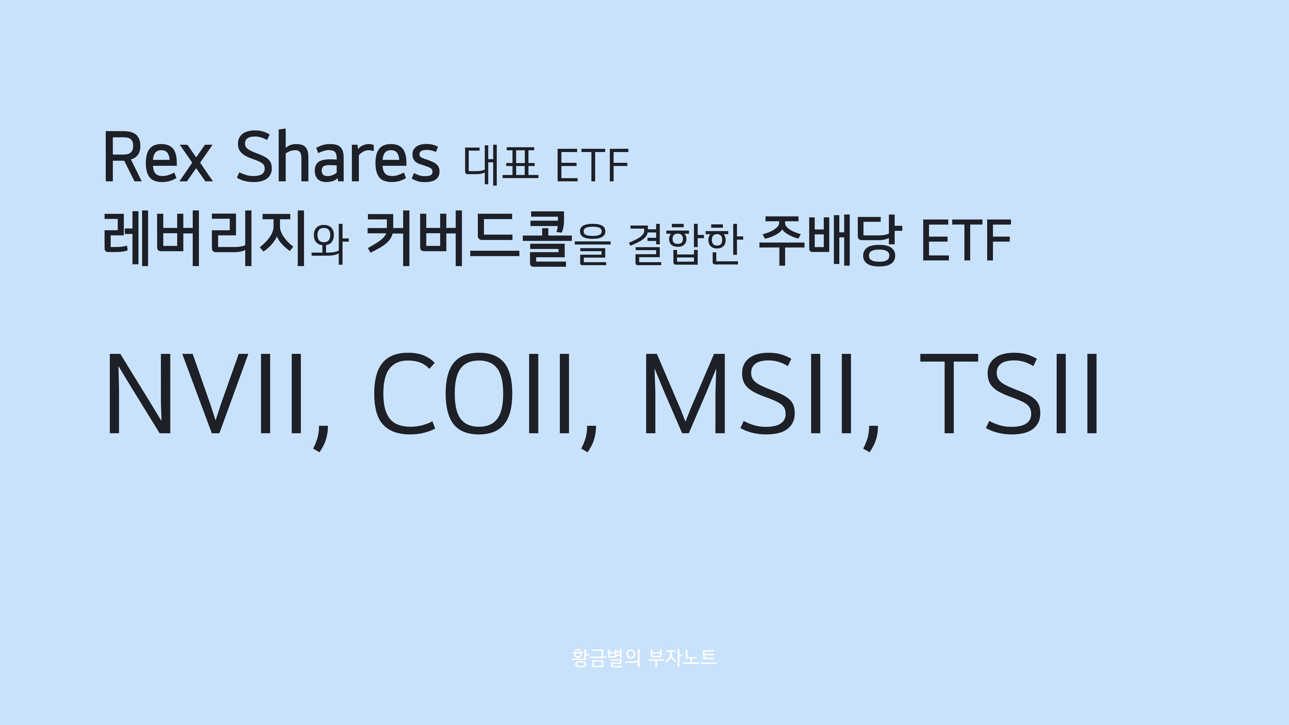 레버리지 전략과 커버드콜 전략이 결합된 [렉스셰어즈]