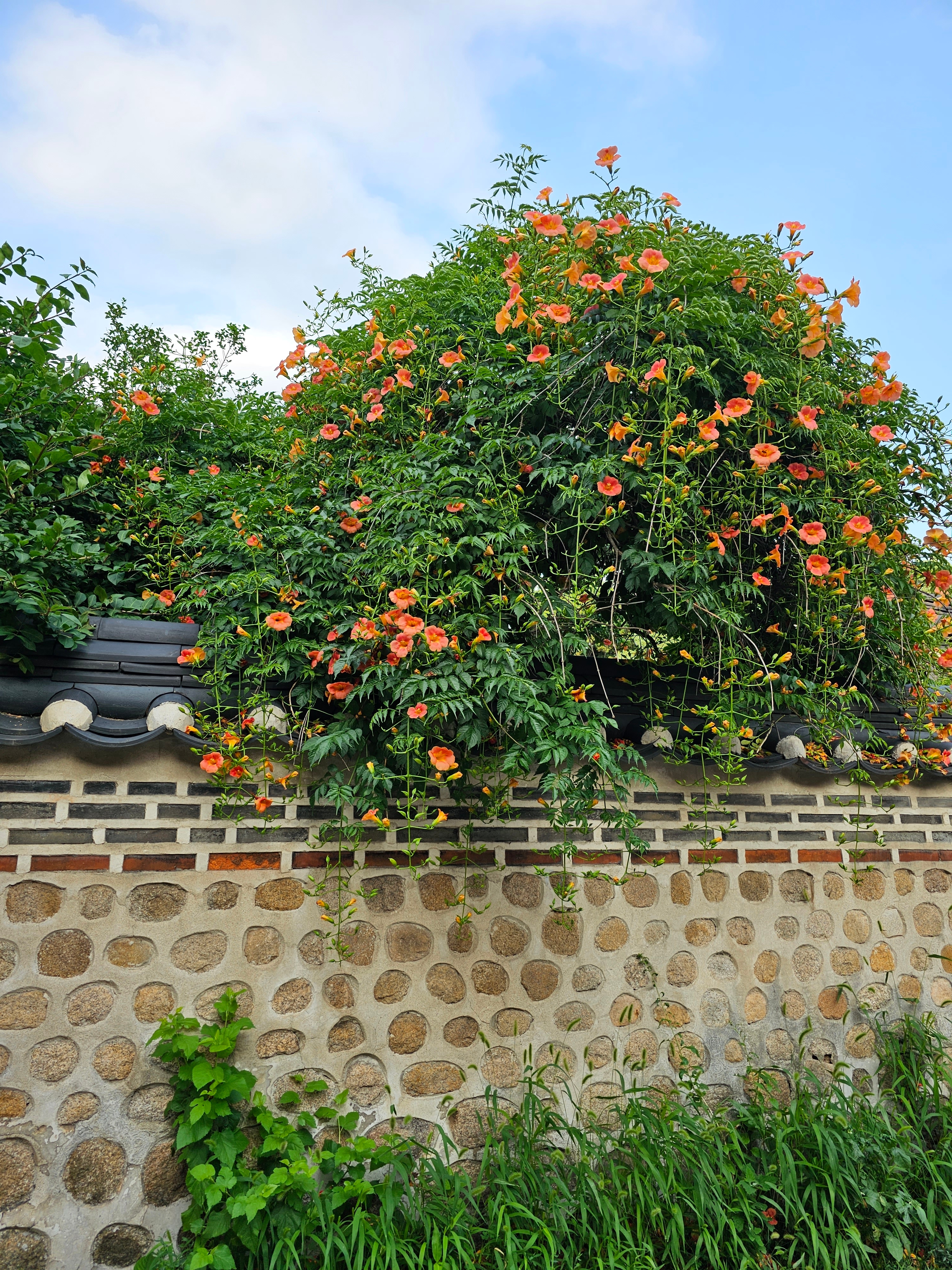 지난 날의 슬픈 회상