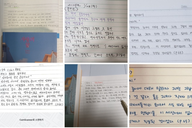 손보미나 이미지
