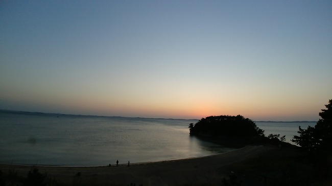 보리