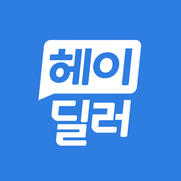 헤이딜러