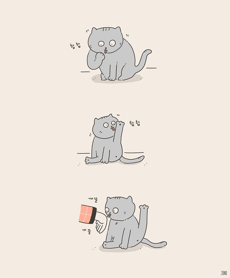 구르밍 이미지