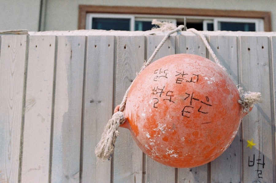 고래카페 이미지