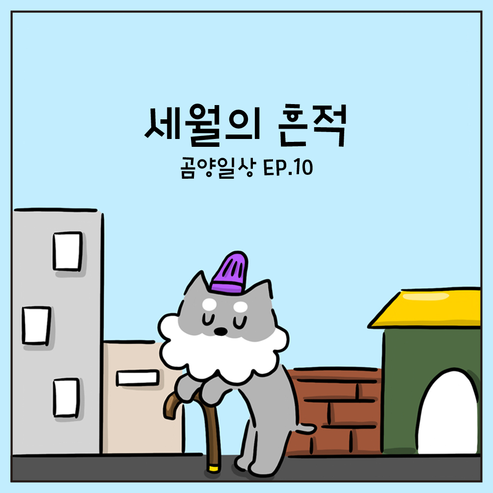 세월의 흔적