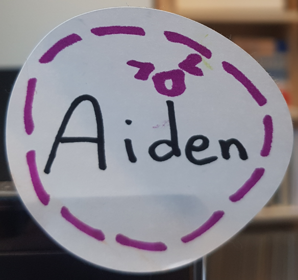 에이드를 좋아하는 에이든