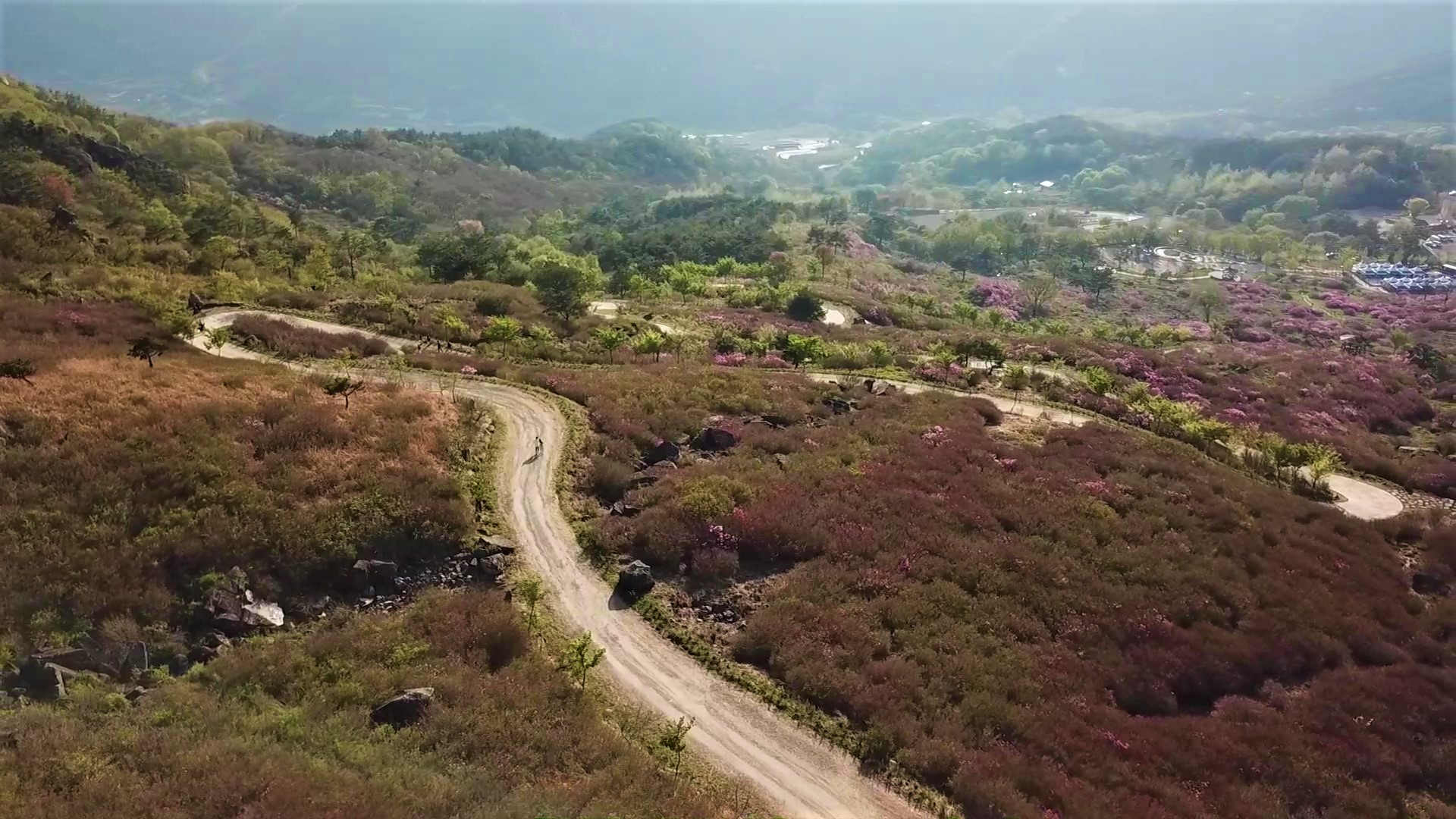 합천 황매산철쭉제 - 드론 여행