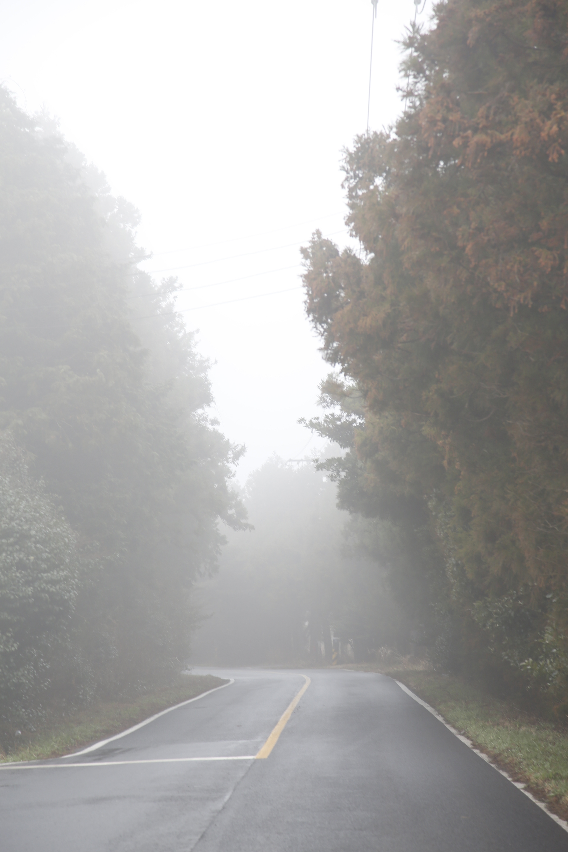 상담받았던 여자