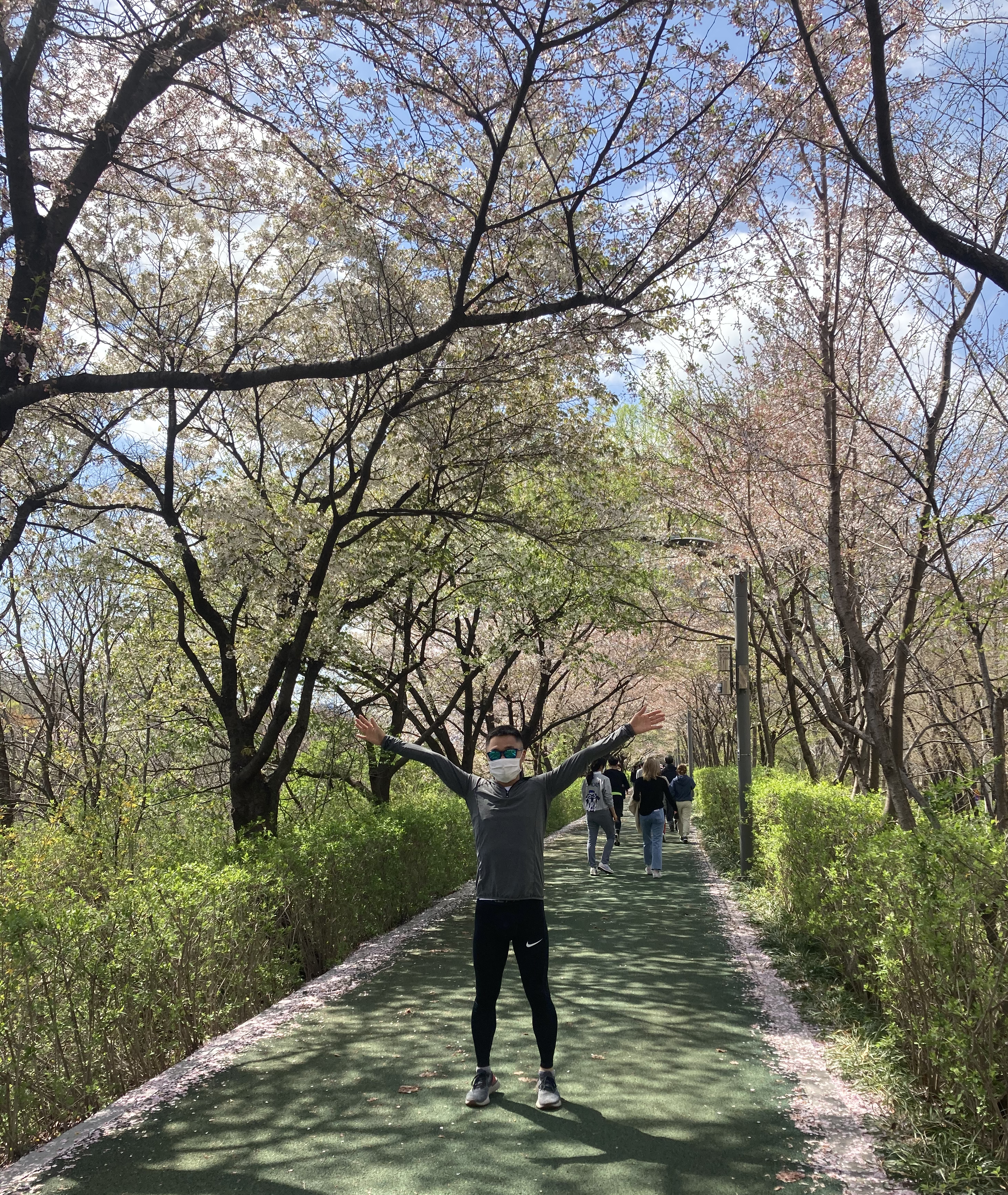 시베리아블루사파이어달걀말이