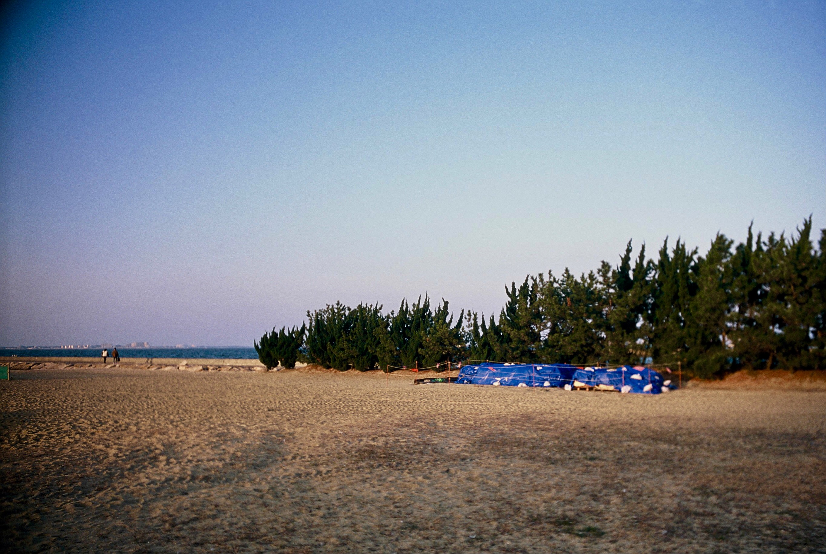 대양유화 이미지