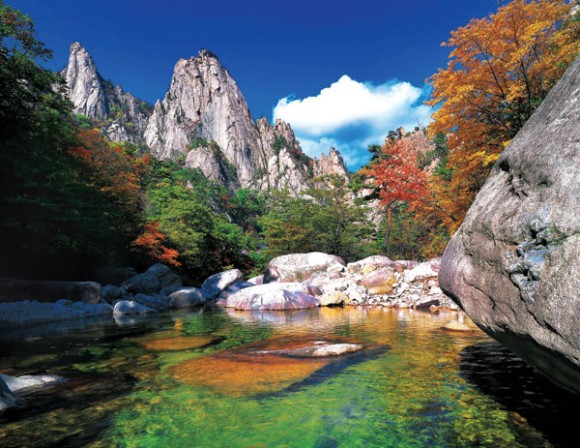 若水(약수)기업 이미지