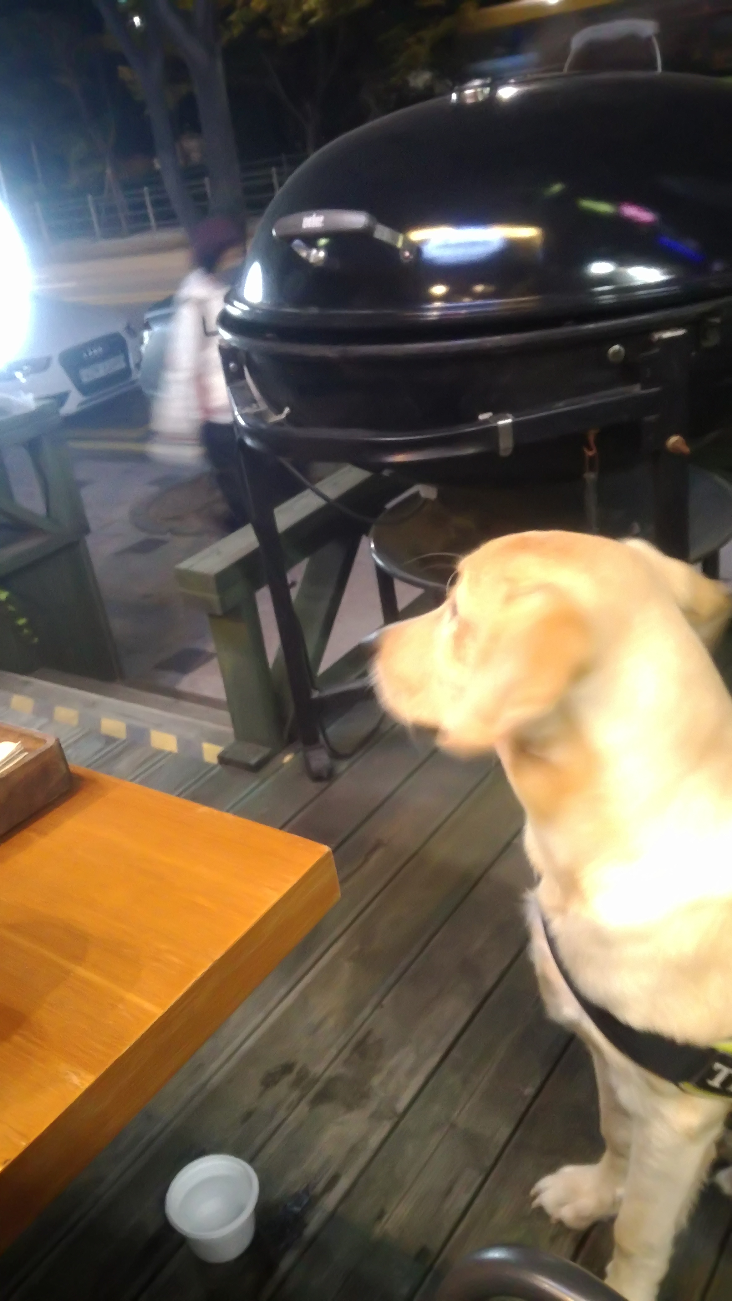 비트코인 현상 블록체인 2.0 가상화폐 금융혁명 그 이상을 꿈꾸다 (99) 사진