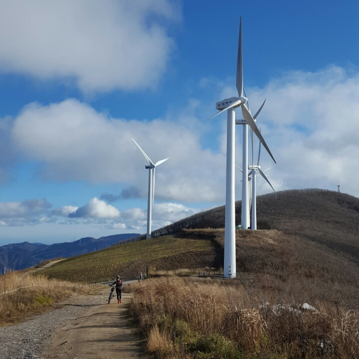 바람의 언덕