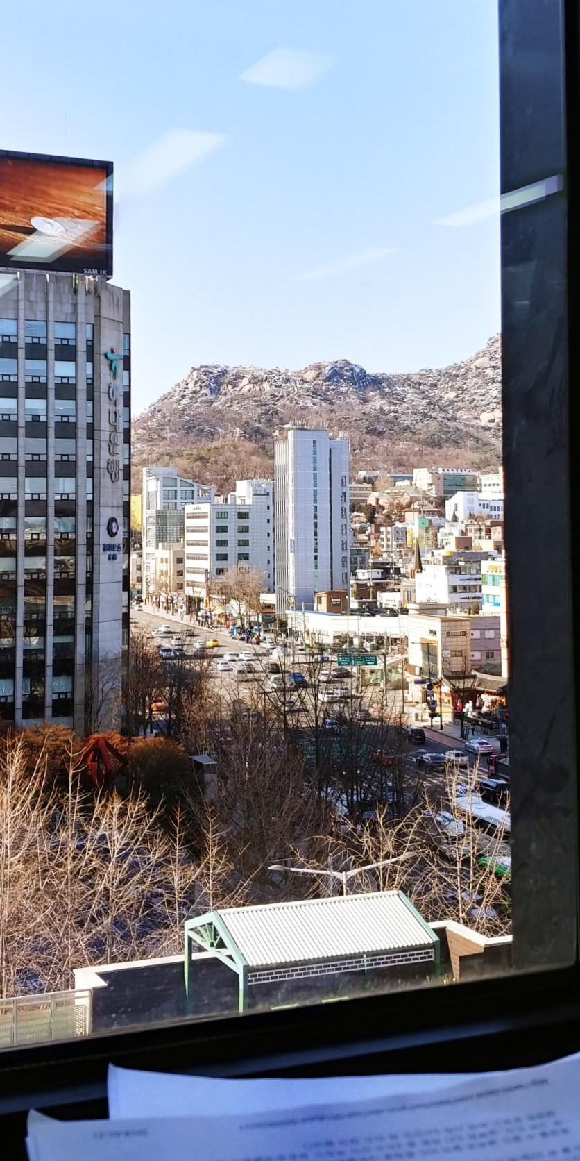 현송월 모피의 딜레마 - 현송월의 패션과 김여정의 배
