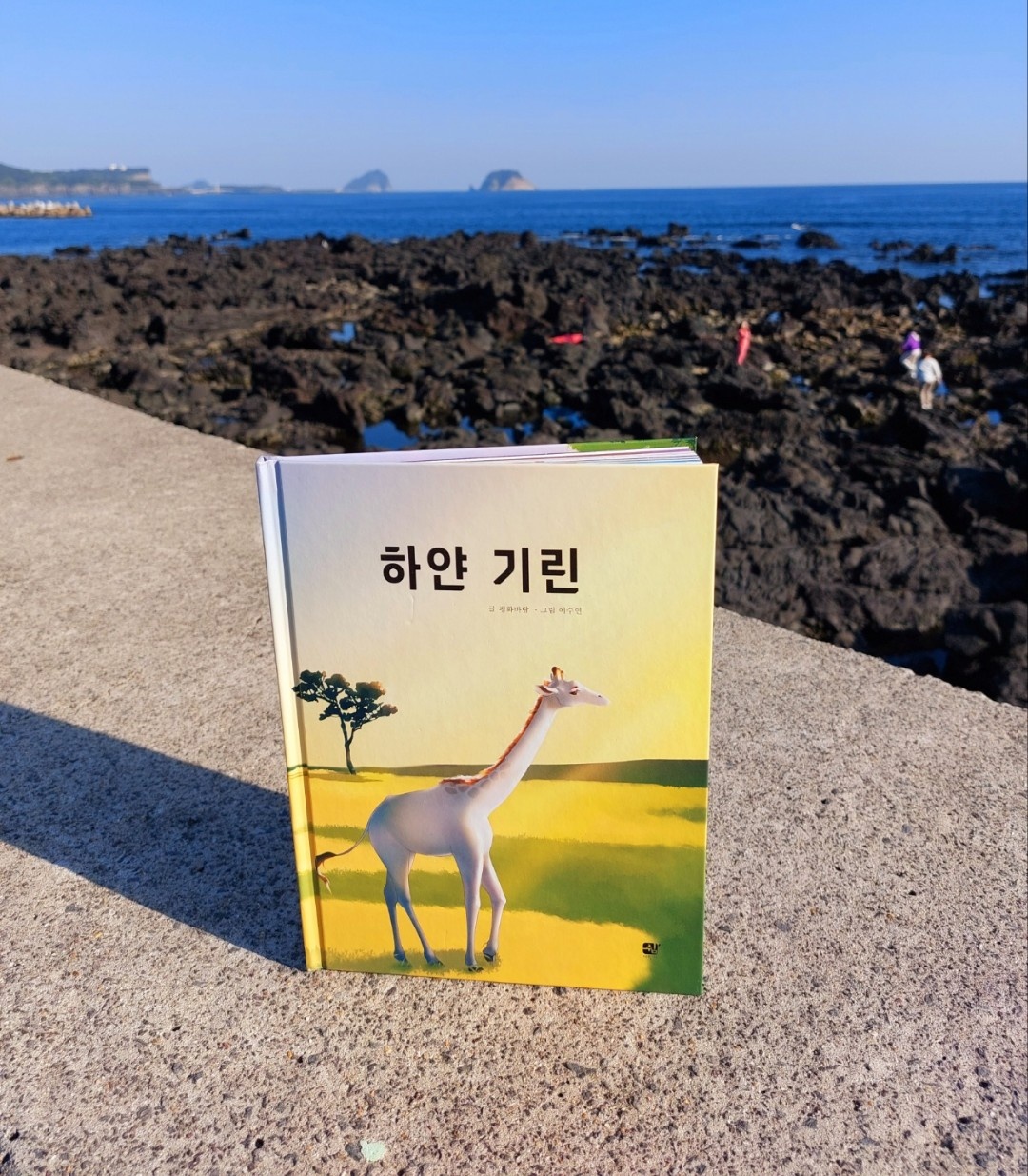 평화바람