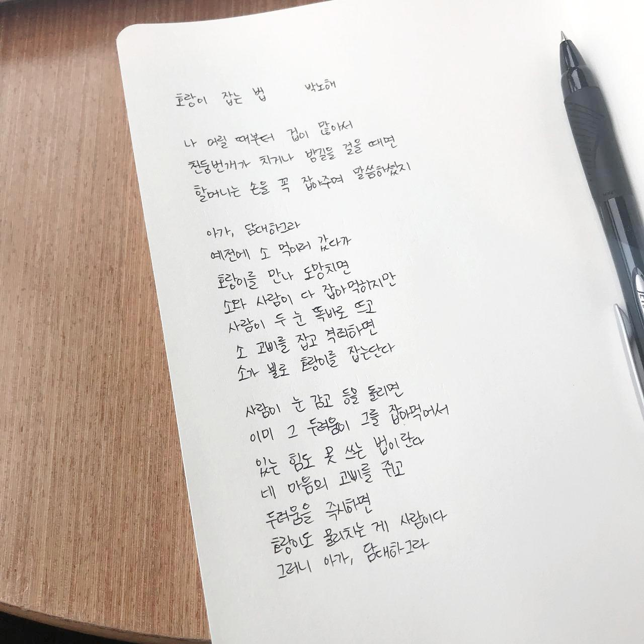 호랑이 잡는 법 / 박노해