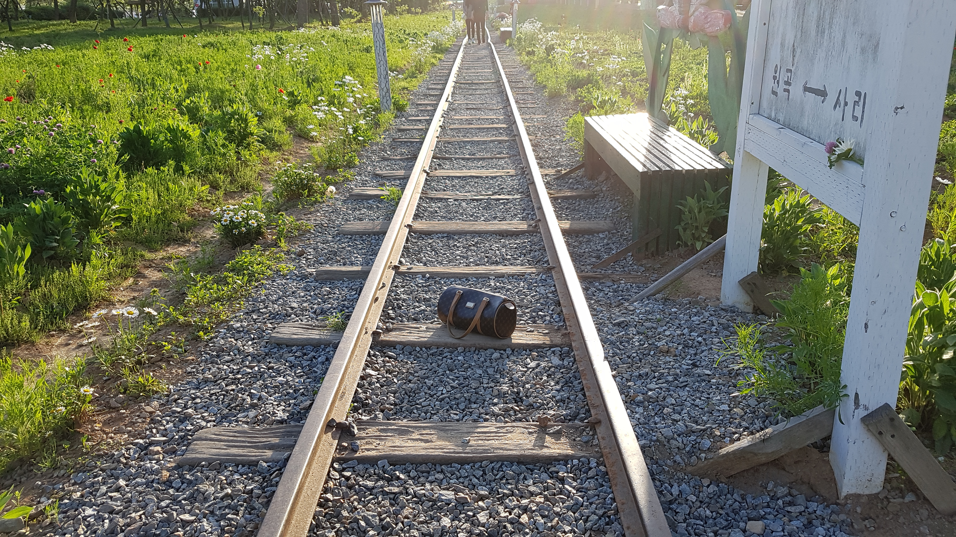 여행에서 만난 것들