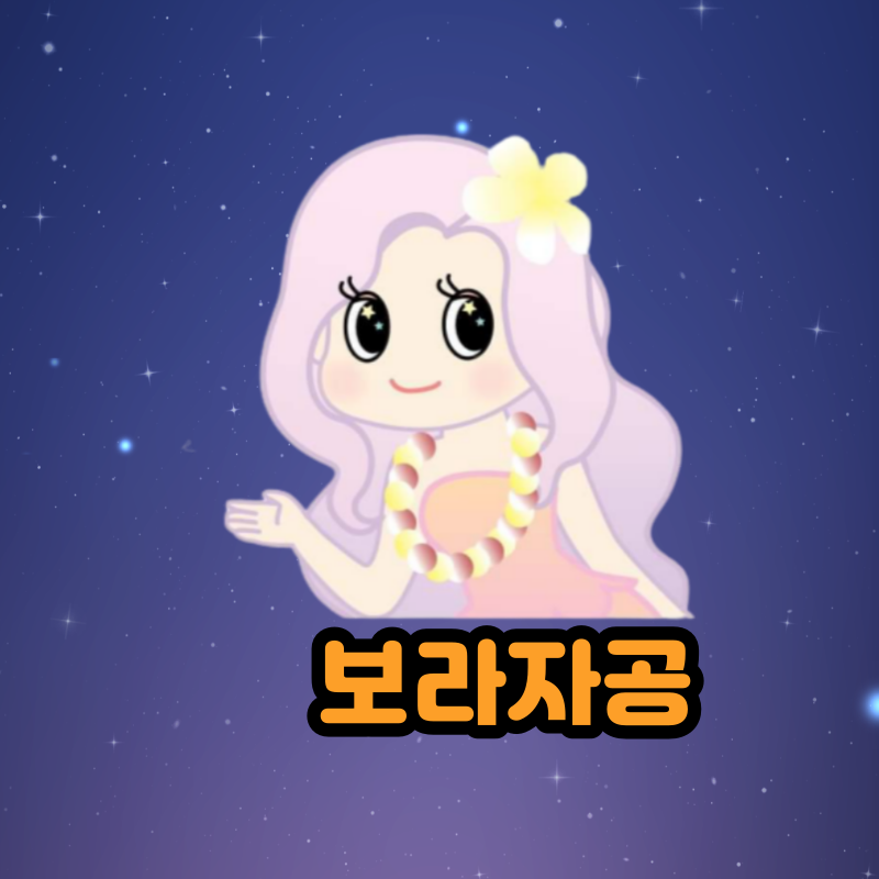 러블리 작가 보라자공