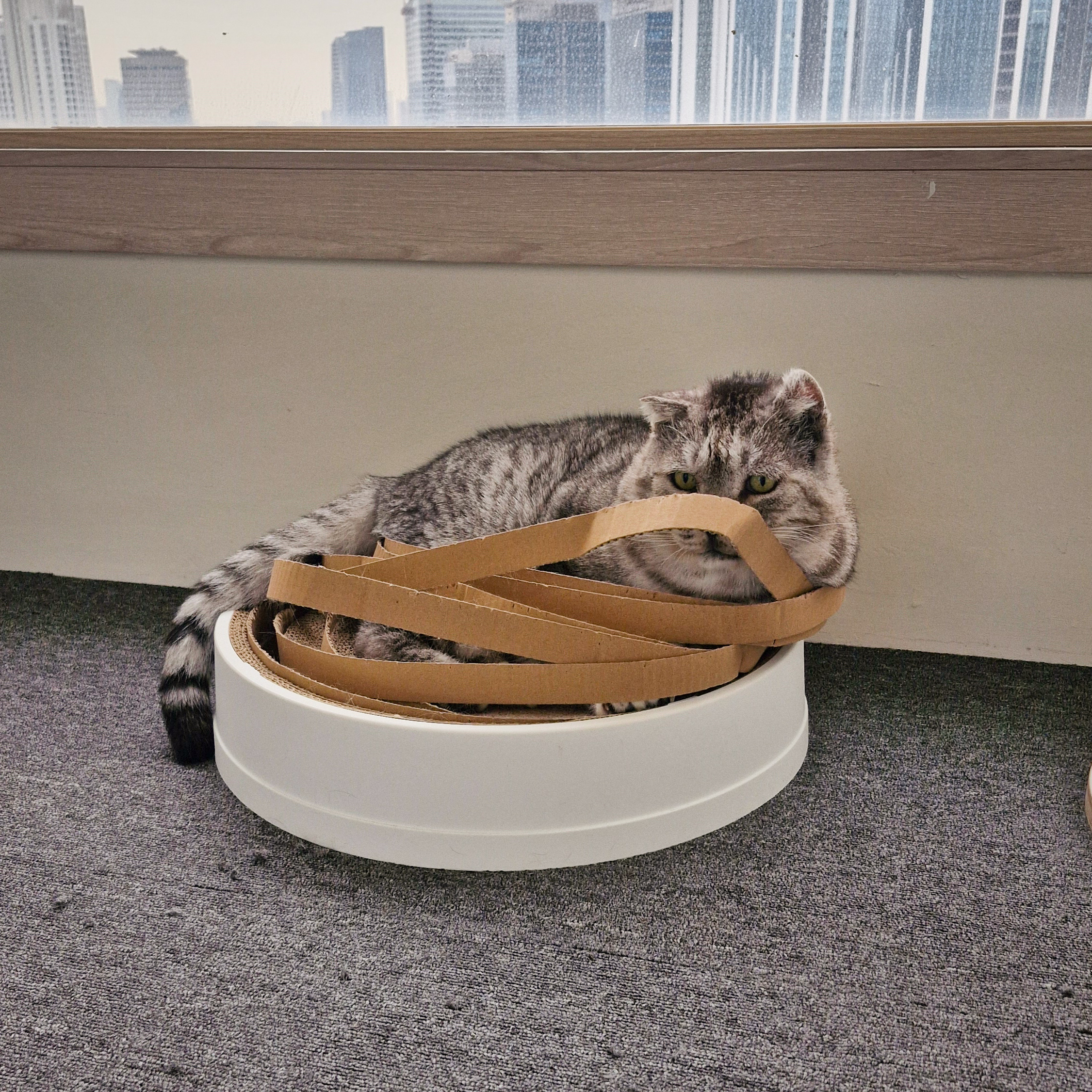 김*원 이미지