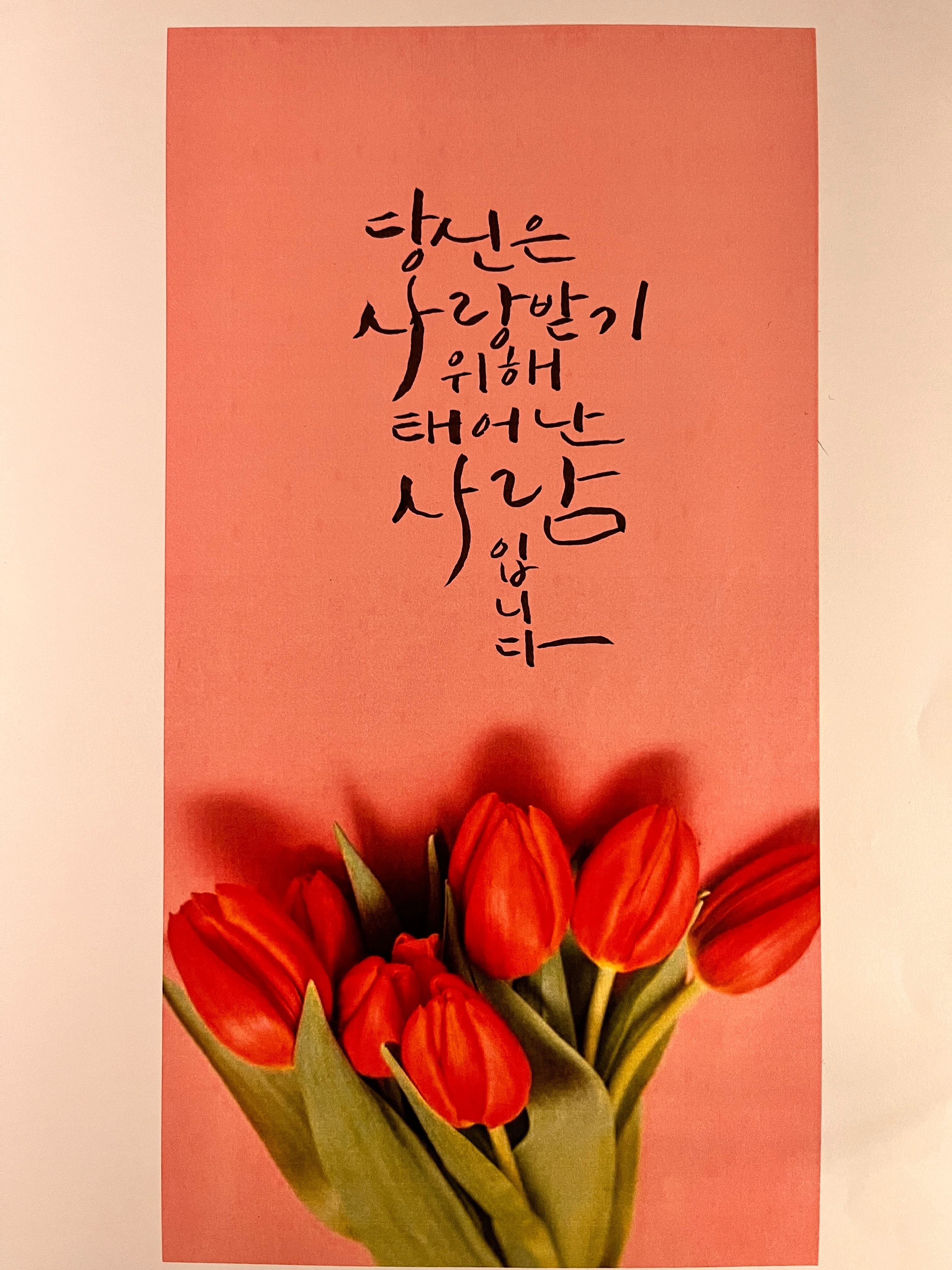 꽃이 지고 나서야 봄이 온 줄 알았네