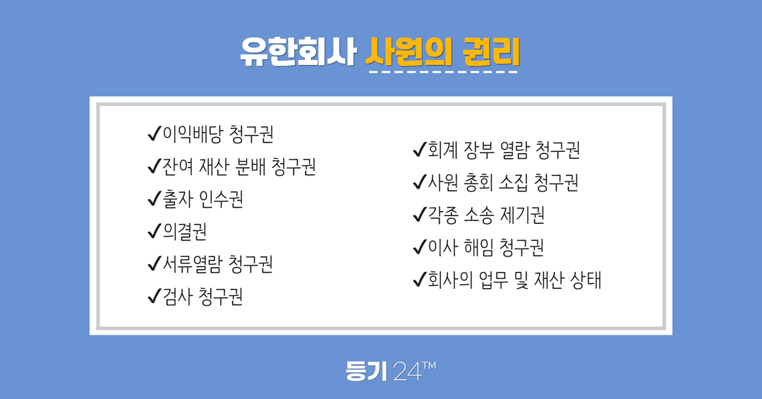 구글코리아 유한회사 이미지