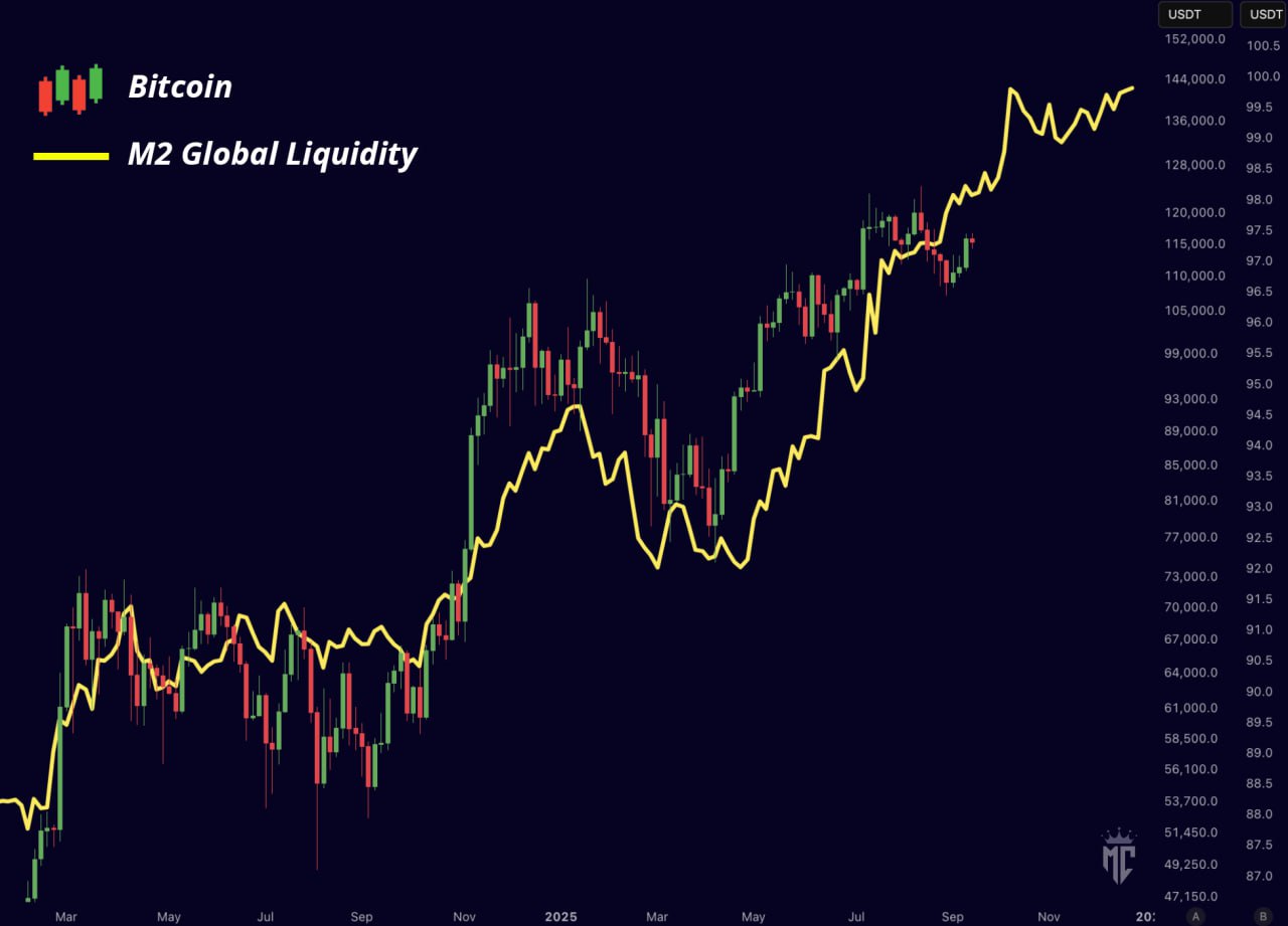 왜 M2와 BTC가 함께 움직이는가?