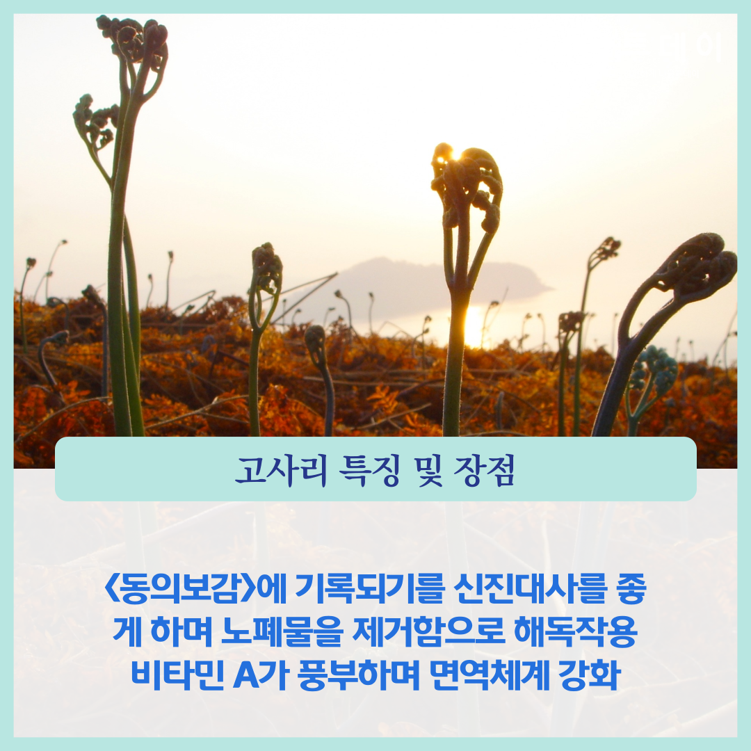 고사리협동조합 이미지