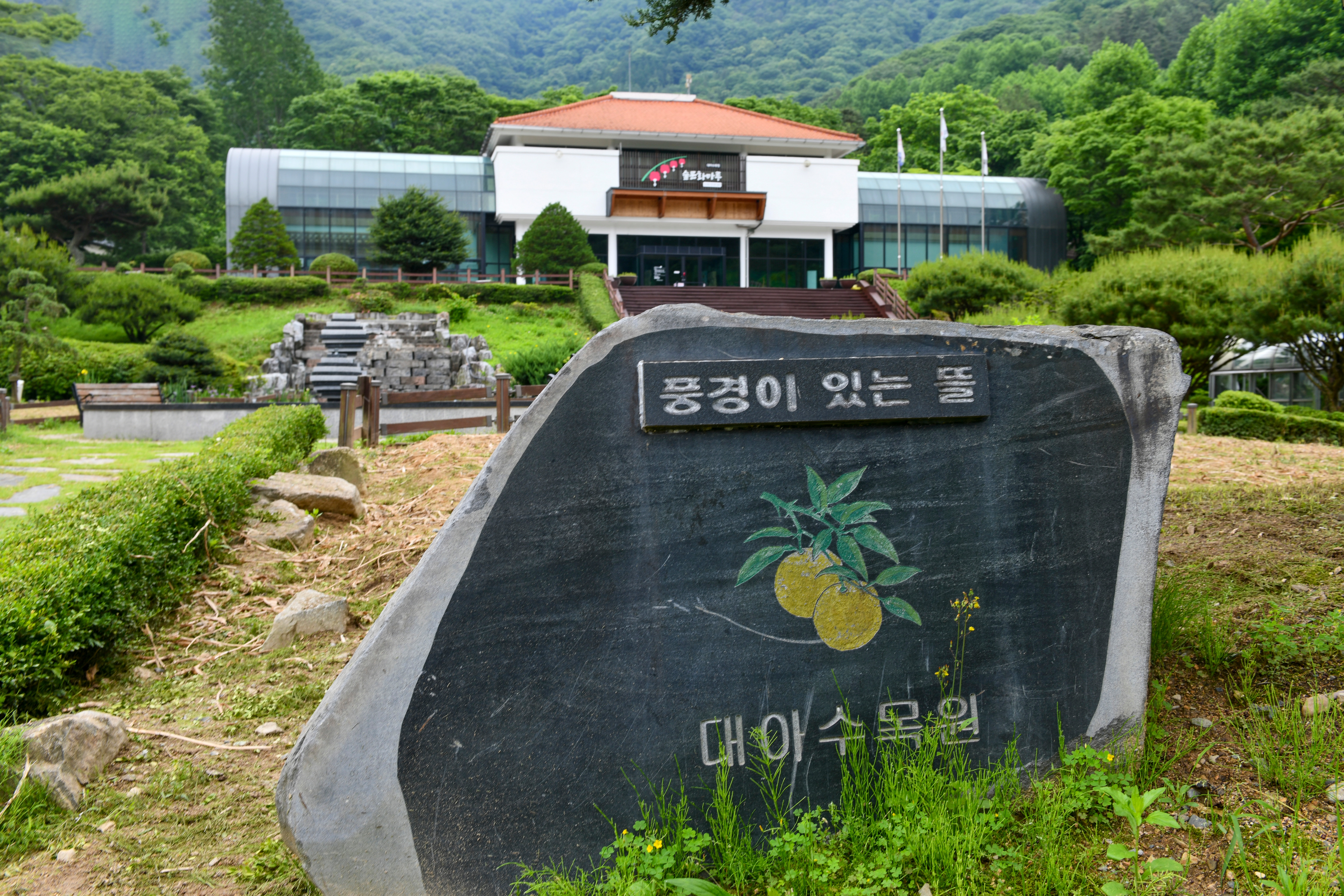 수목 비교 관찰원 이미지