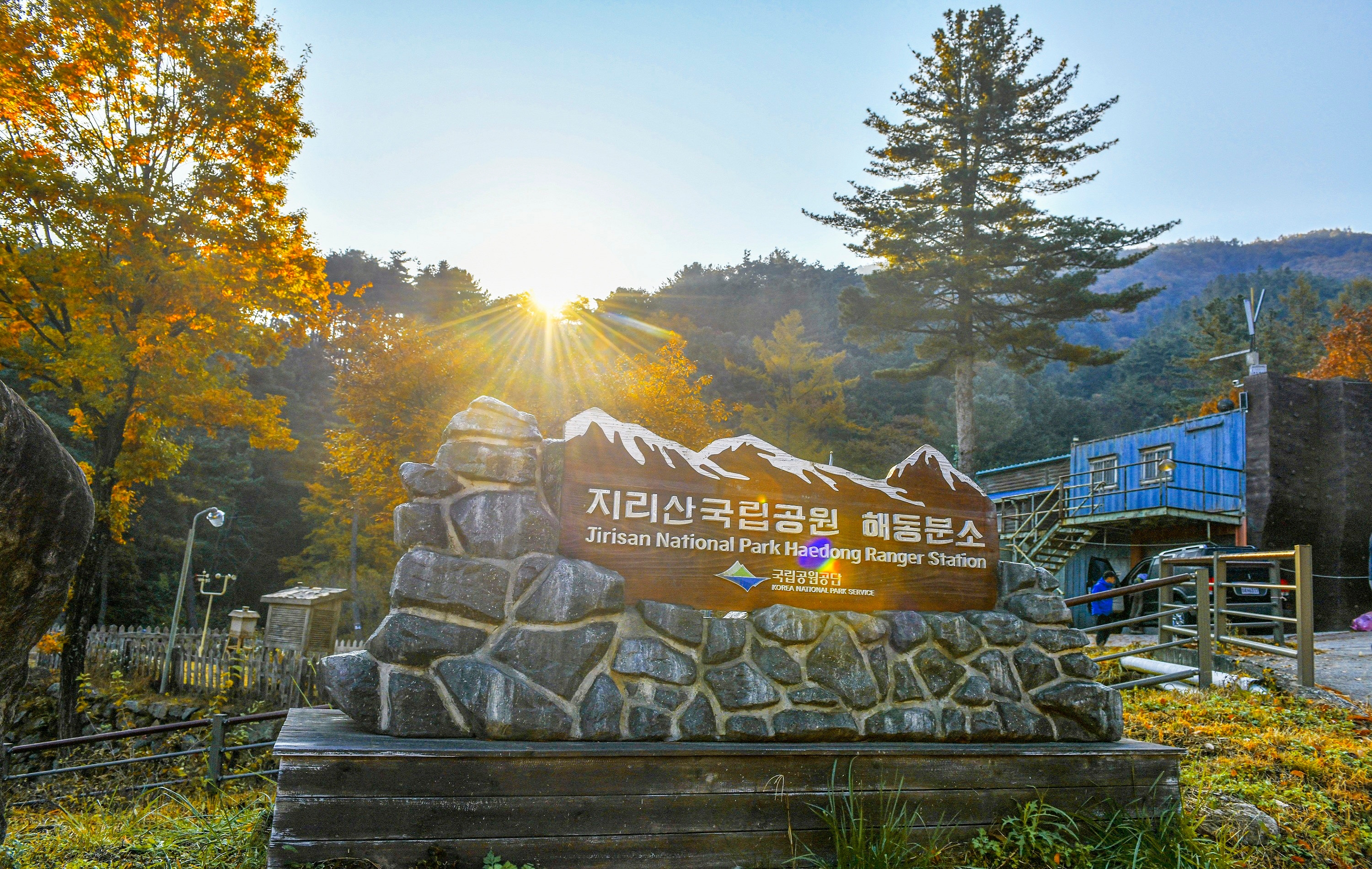 지리산풀잎 이미지