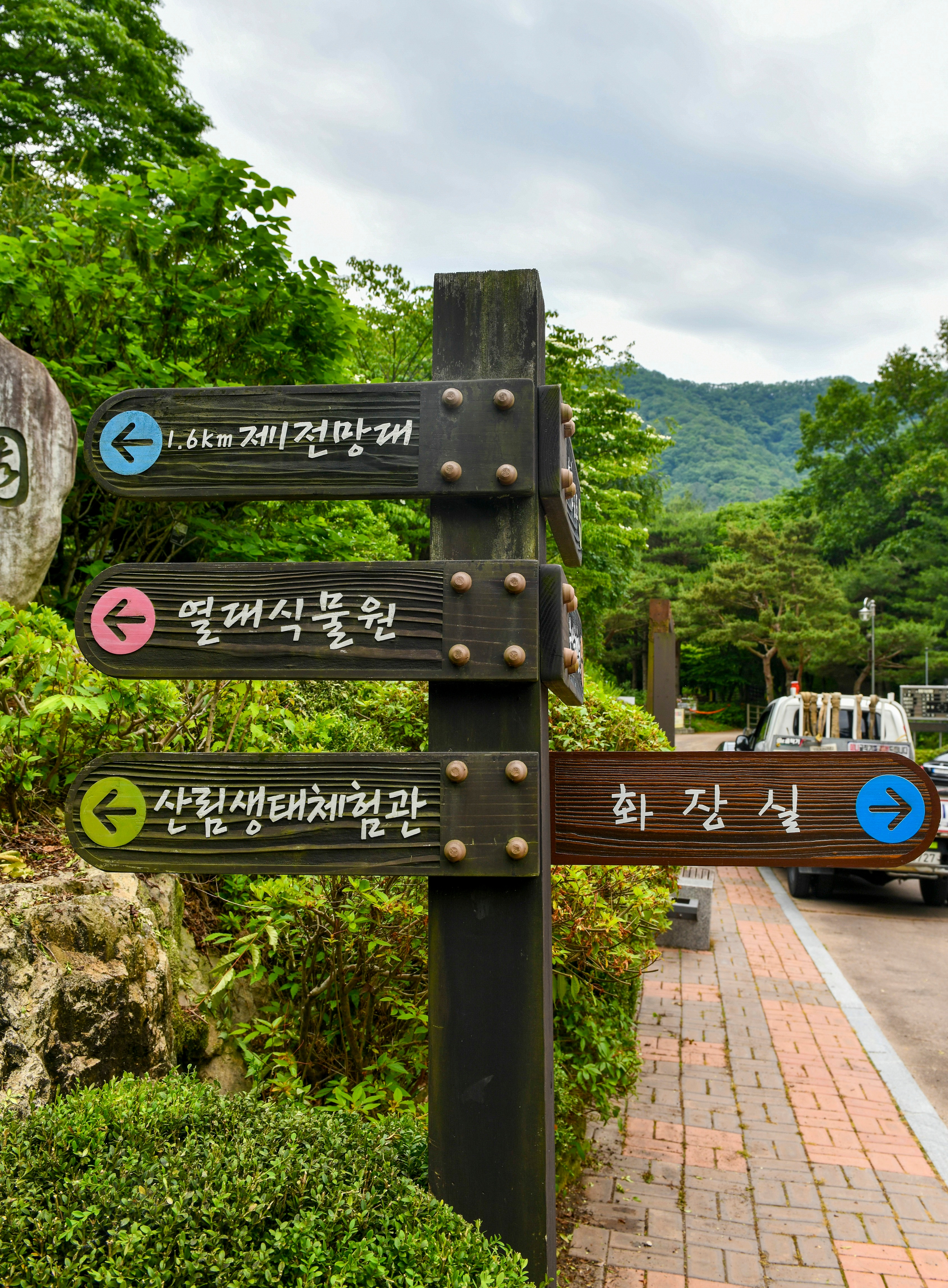 수목 비교 관찰원 이미지