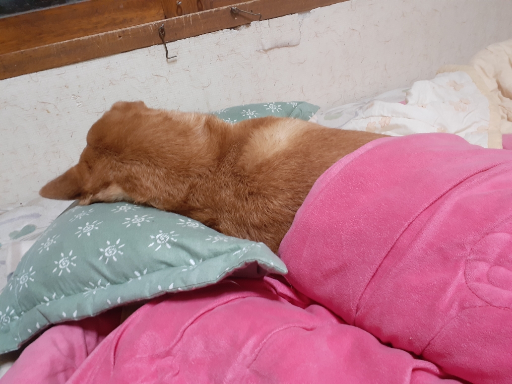 내이름은 김삼순