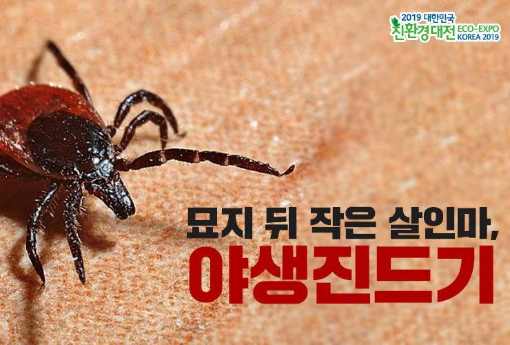 묘지 뒤 작은 살인마, 야생진드기