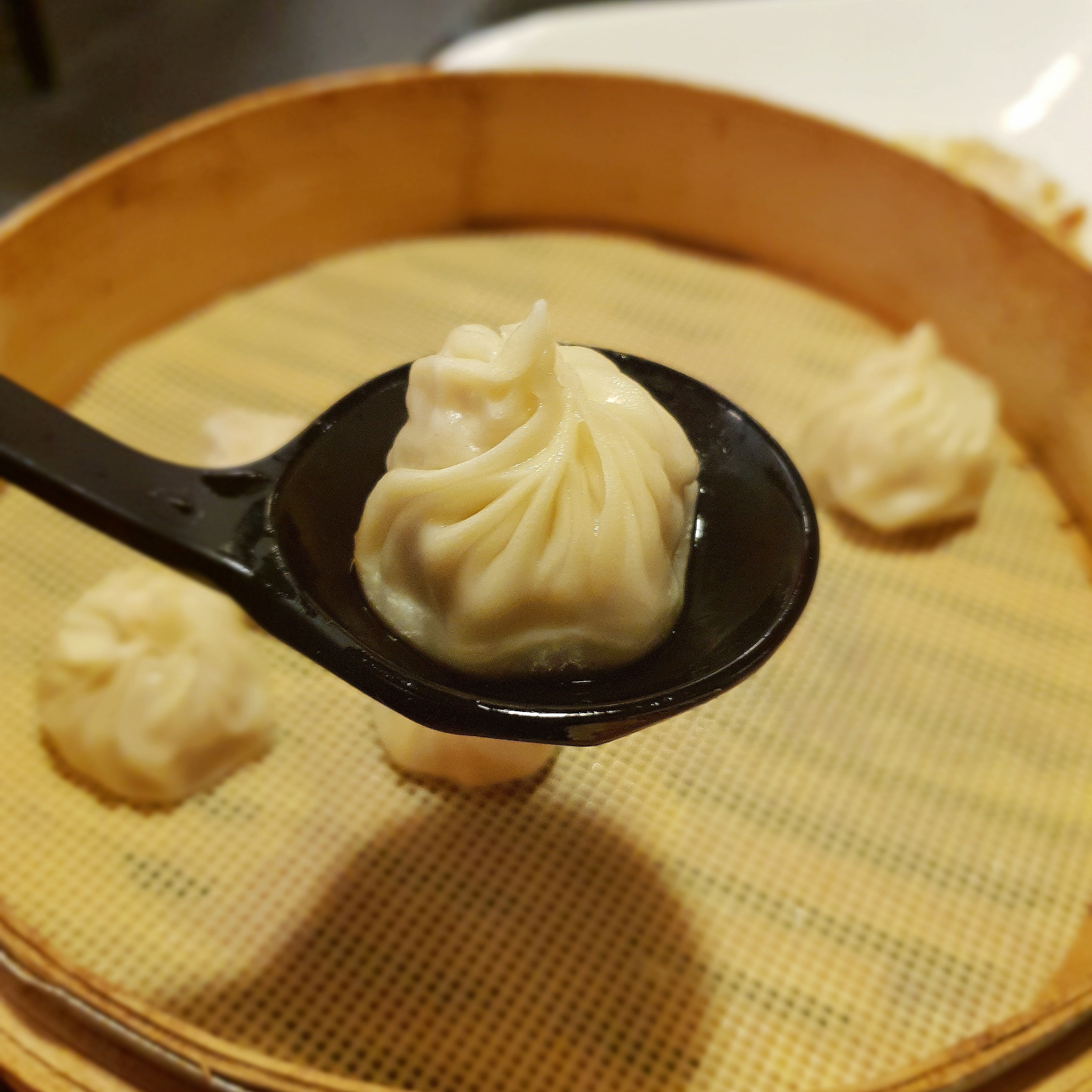 만두학개론: 맛있는 만두의 기준 - 부산역 차이나...