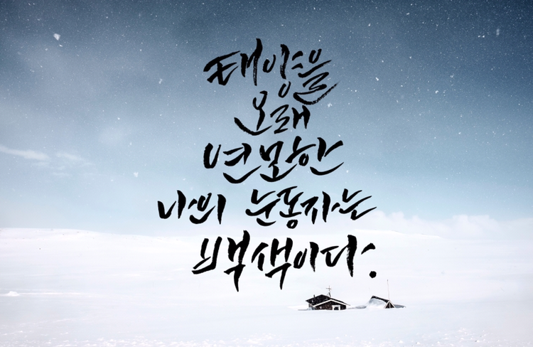 눈동자