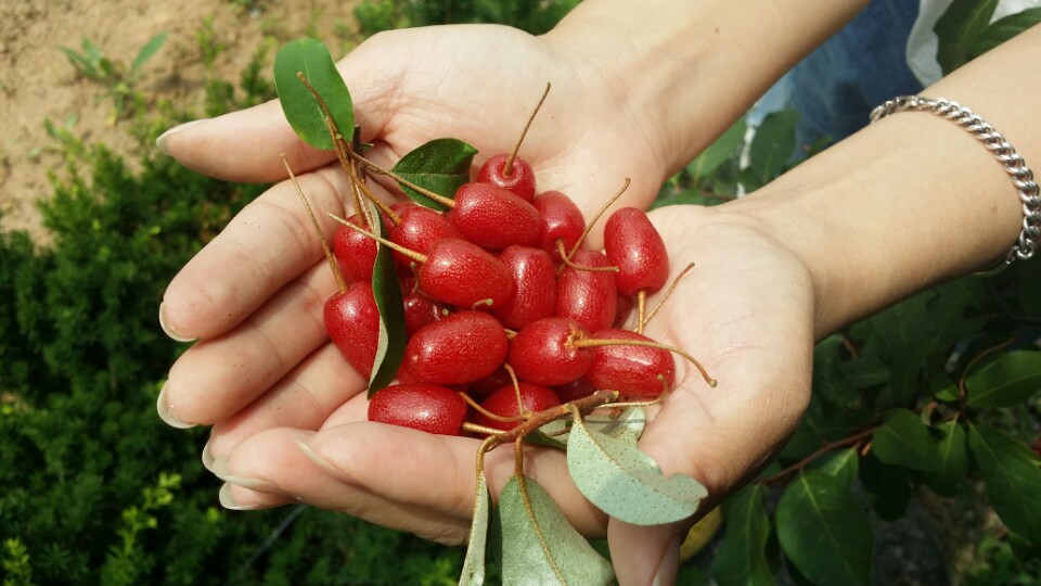 지연수 Memento mori