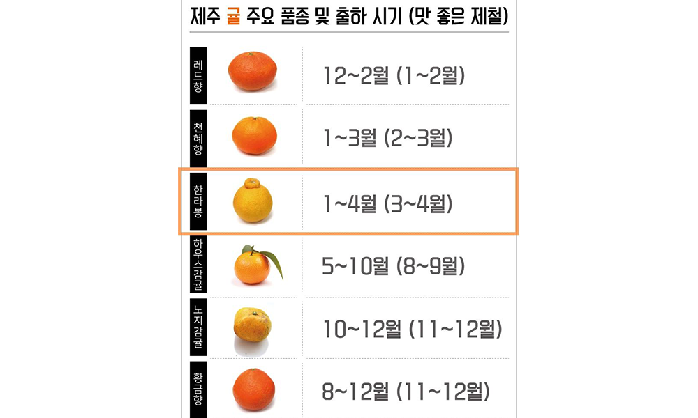과일가게 이미지