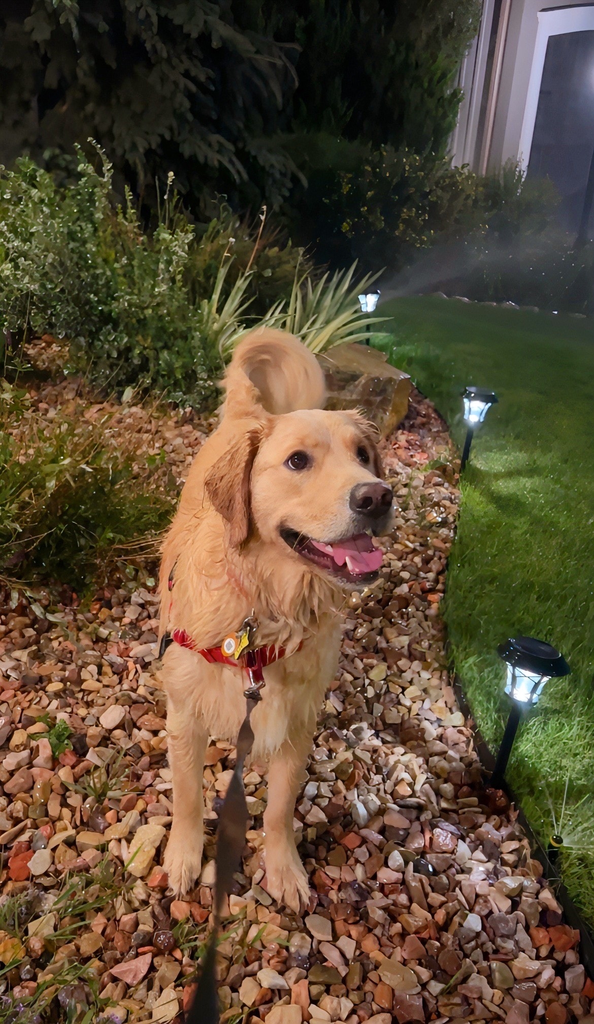 딸꾹질하는 윤보리