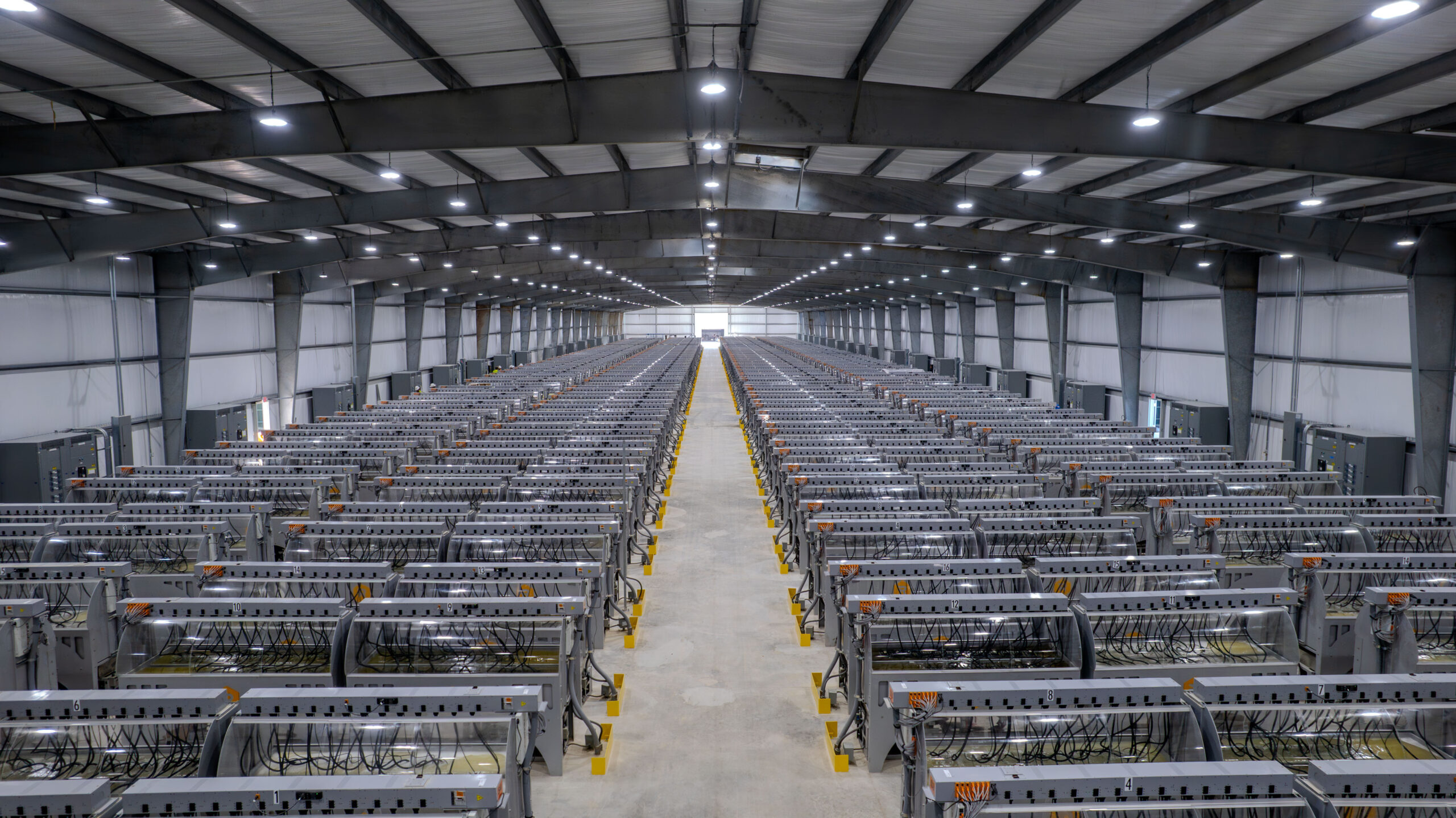 트럼프 2.0, 비트코인을 캐다