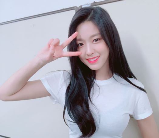 10kg 이상 감량에 성공한 연예인 다이어트 식단 모음