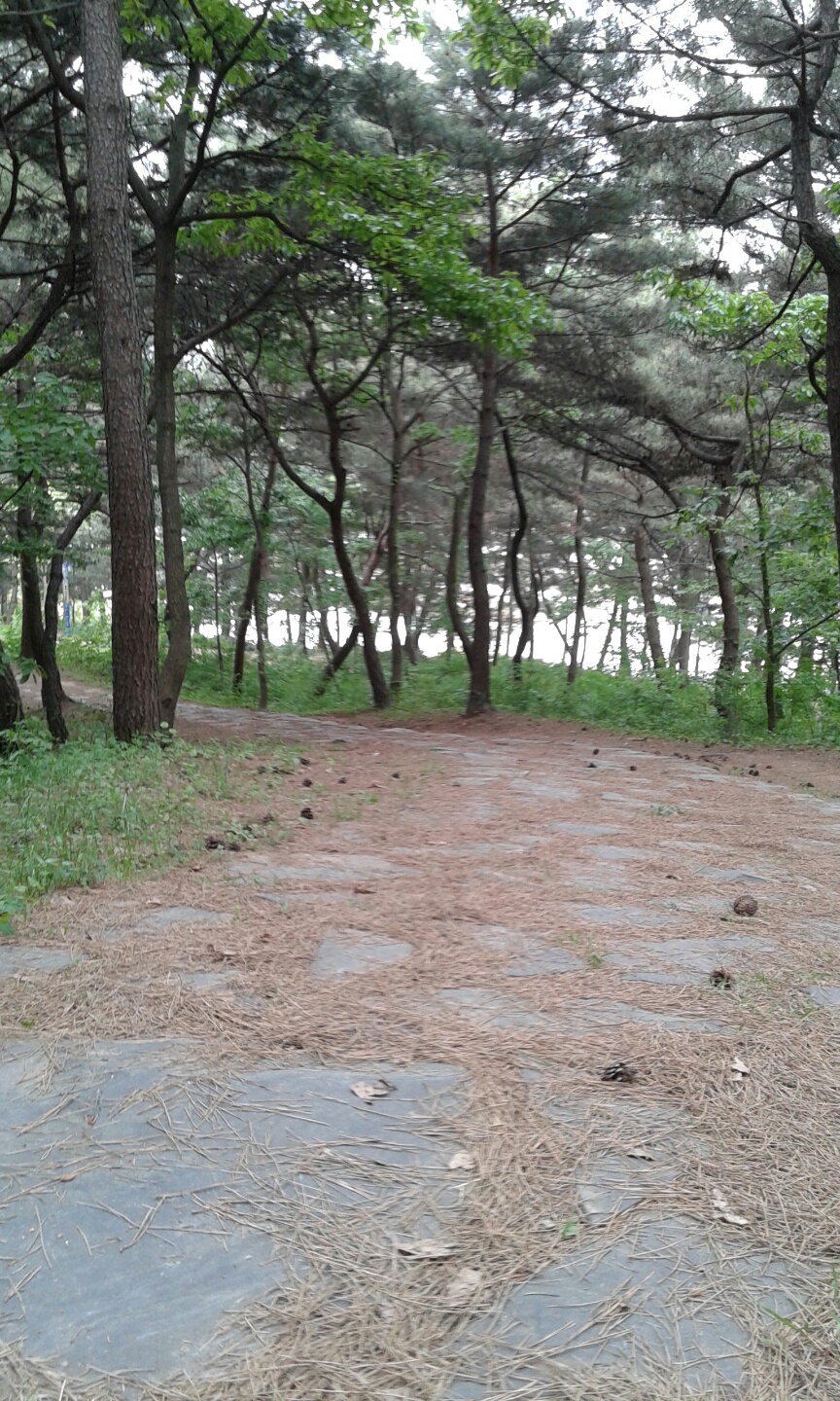 새들과 새의친구